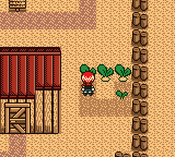 Harvest Moon GBC Screenshot 1